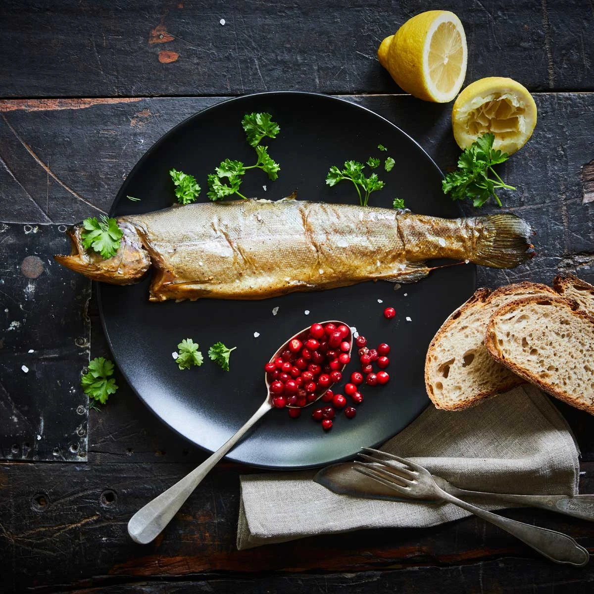 Borniak Räucherofen Simple UWD-150 Version 1.4 3 Borniak Räucherofen Simple UWD-150 Version 1.4