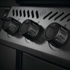 Napoleon Freestyle 365, 3 Hauptbrenner, Graphit 18 Napoleon Freestyle 365, 3 Hauptbrenner, Graphit -Grill Konigreich Geschaft napoleon freestyle 365 3 hauptbrenner graphit 2f1eb5625778b5d7f71403fa55cda22e