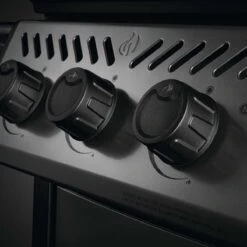 Napoleon Freestyle 425, 4 Hauptbrenner, Mit Sizzle Zone Seitenbrenner, Graphit 23 Napoleon Freestyle 425, 4 Hauptbrenner, Mit Sizzle Zone Seitenbrenner, Graphit -Grill Konigreich Geschaft napoleon freestyle 425 4 hauptbrenner mit sizzle zone seitenbrenner graphit 20c7cb3c006a738a4d7762835f80460a