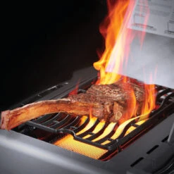 Napoleon Gasgrill Prestige 665, Edelstahl -Grill Konigreich Geschaft napoleon prestige p665rsibpss edelstahl 86c258b56293bfa624afb292d061b043