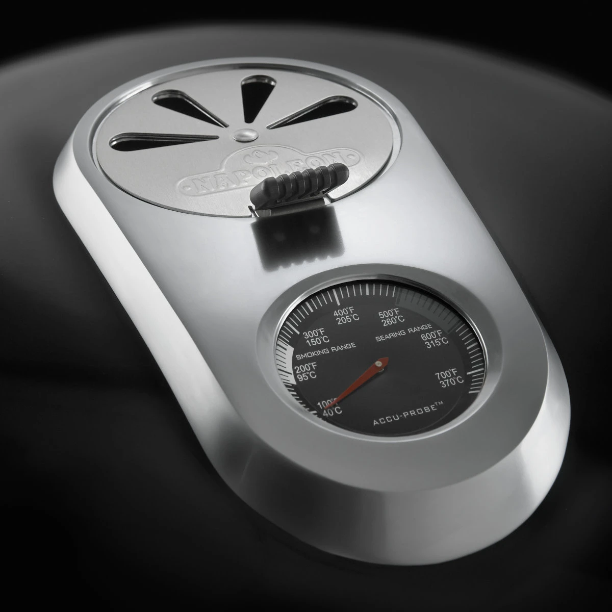 Napoleon Pro Charcoal Leg 5 Napoleon Pro Charcoal Leg – Bild 3