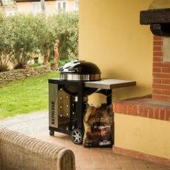 Napoleon Pro Charcoal Cart -Grill Konigreich Geschaft napoleon pro22k cart 2 9f024b16558eda52184d5350e44b5309